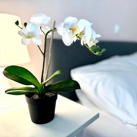 Sun Beach Apartment アナヴィソス エクステリア 写真